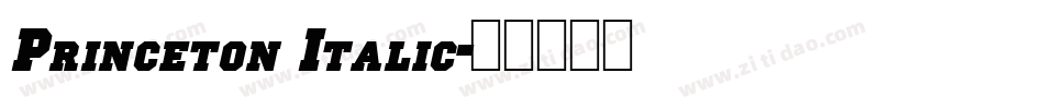 Princeton Italic字体转换